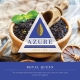 Azure-Gold-Royal-Queen-Tobacco-Hookah-250g