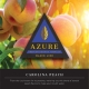 Azure-Black-Carolina-Peach-Tobacco-Hookah-250g