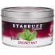 Starbuzz-Spearmint-Hookah-Shisha-Tobacco-100g