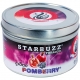 Starbuzz-Pomberry-Hookah-Shisha-Tobacco-100g