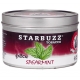 Starbuzz-Spearmint-Hookah-Shisha-Tobacco-250g