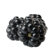 Fumari_Blackberry_Hookah_Shisha_100g