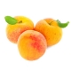 Fumari_Hookah_Shisha_Apricot_100g